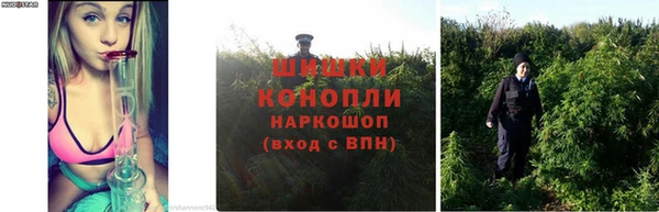 крисы Армянск