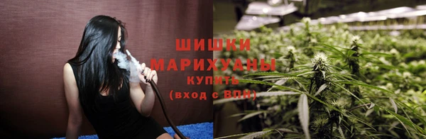 крисы Армянск