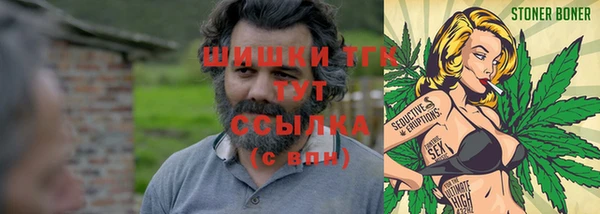 крисы Армянск